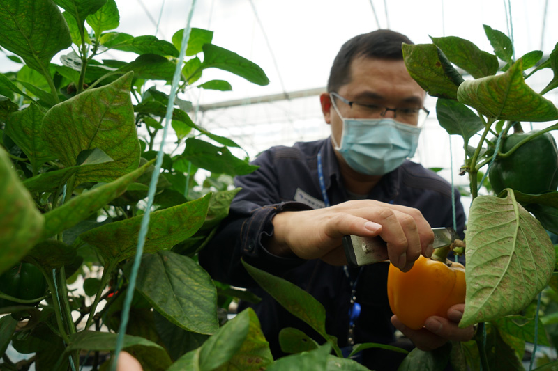 �ƶ�����3118��(�й���)�ٷ���վ